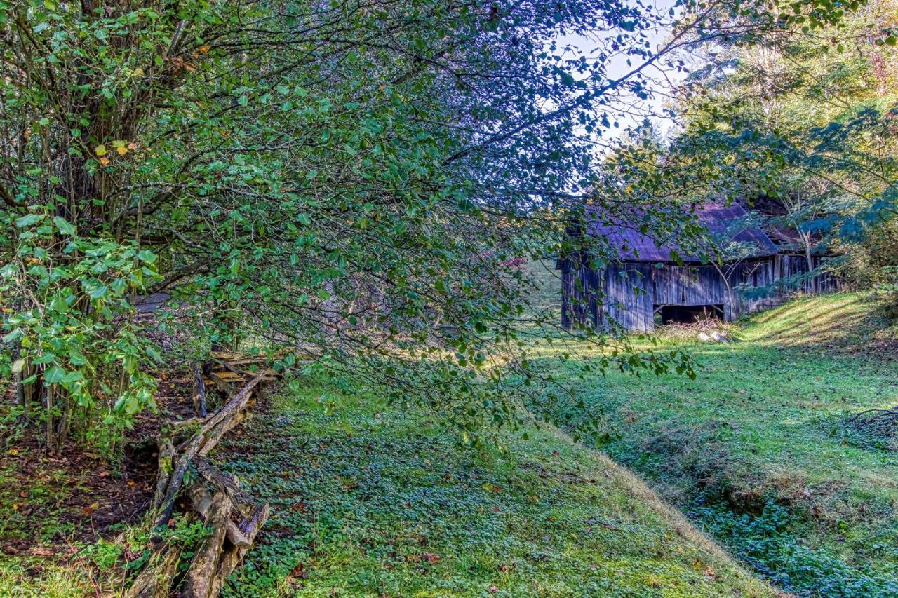 Cozy Creek Cabin Піджен-Фордж Екстер'єр фото